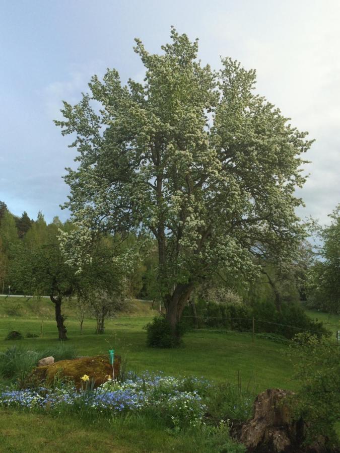 Braenntorps Gard Βίλα Kolmården Εξωτερικό φωτογραφία